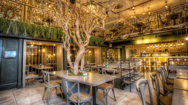 Seven restaurant chains make Fast Track 100