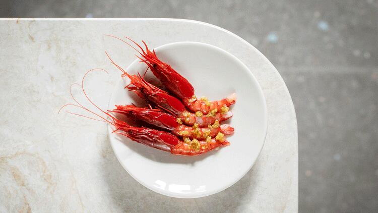 Latest opening: Flor