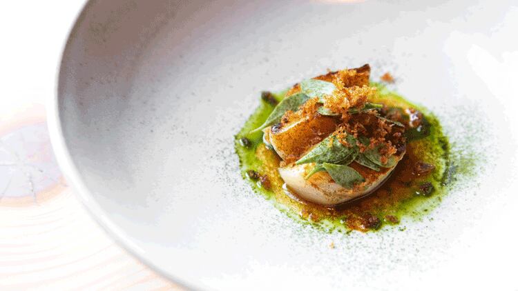 Scallop-web.png
