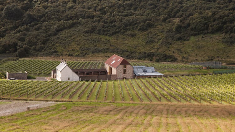 Vine dining: the rise of the winery-based restaurant