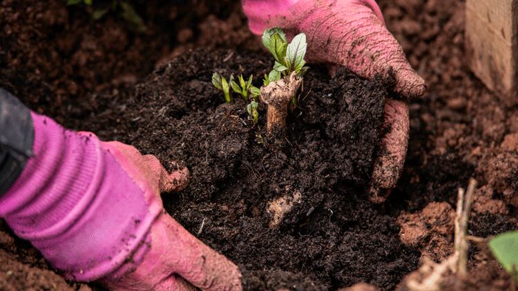Hospitality tops environmental sustainability poll