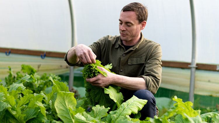 Betting the farm: Dan Cox on Crocadon