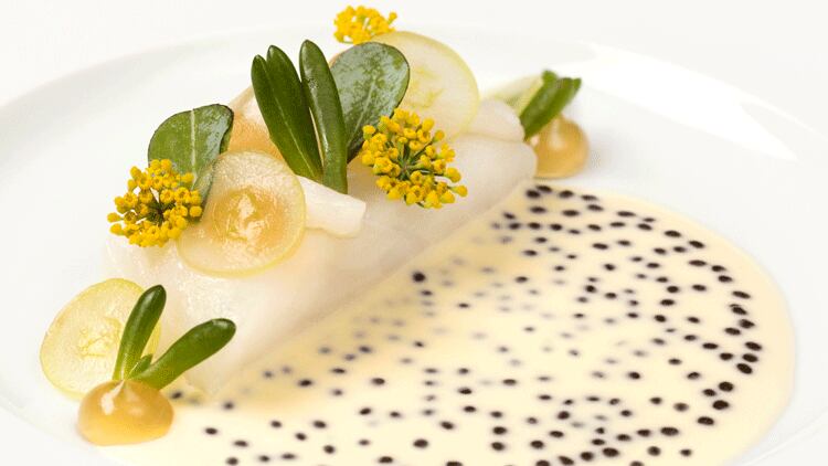 Turbot.png