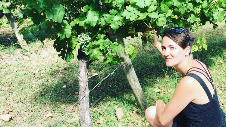 carole-vineyard.jpg