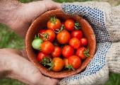 2-vegetables-200.jpg