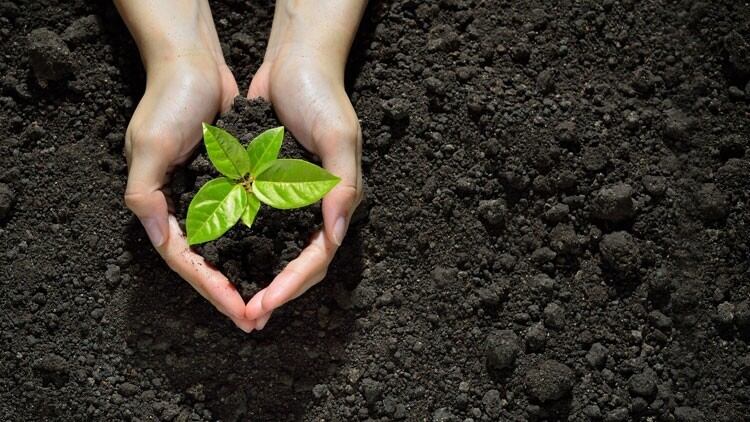 Listed companies to be required to publish net zero transition plans