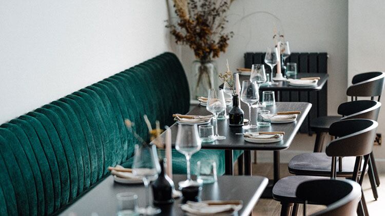 Opening of the month: Robin Wylde