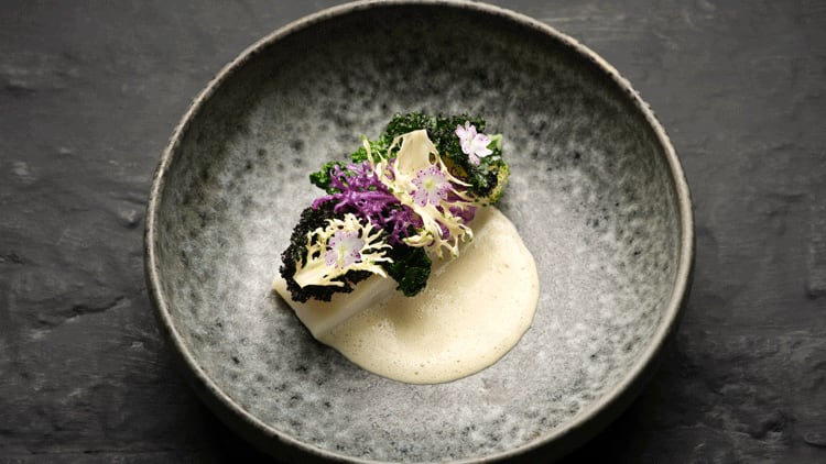 Turbot-with-kale.png