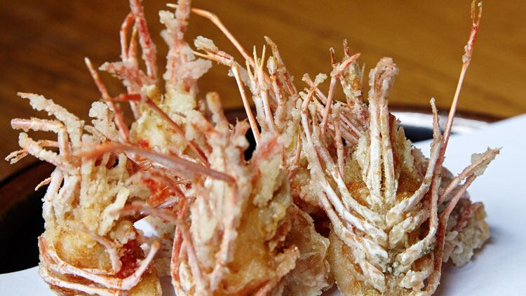 Koya_prawn_heads.jpg