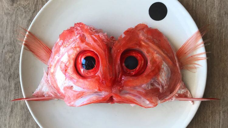 Eyes.jpg