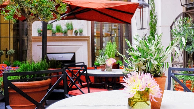 Latest opening: The Garden 