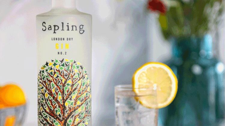 sapling-gin-web.png