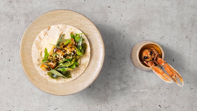 Langoustine-Taco.jpg
