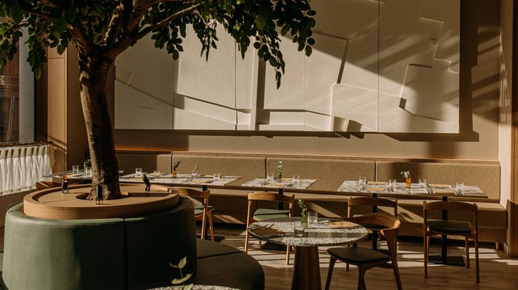 Hazel to launch in Glasgow later this month