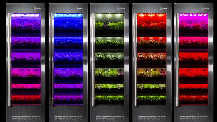 Latest-kitchen-equipment-for-restaurants.png