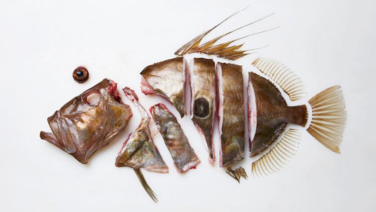 JohnDory-2207_Endpapers.jpg
