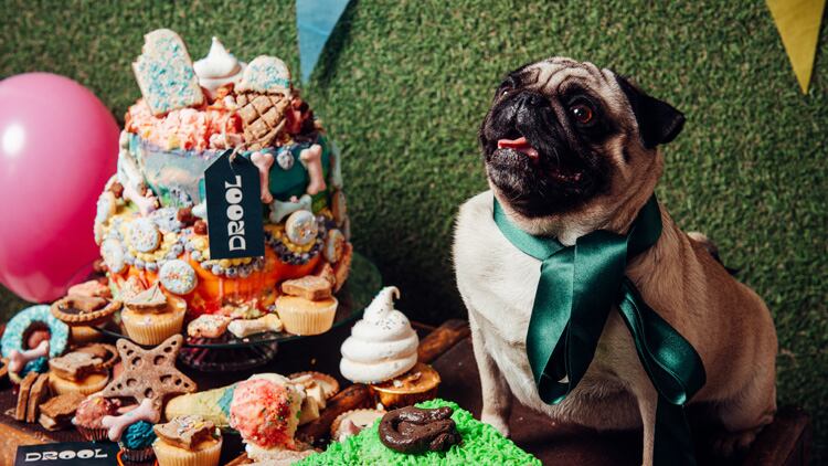 The Lowdown: Drool