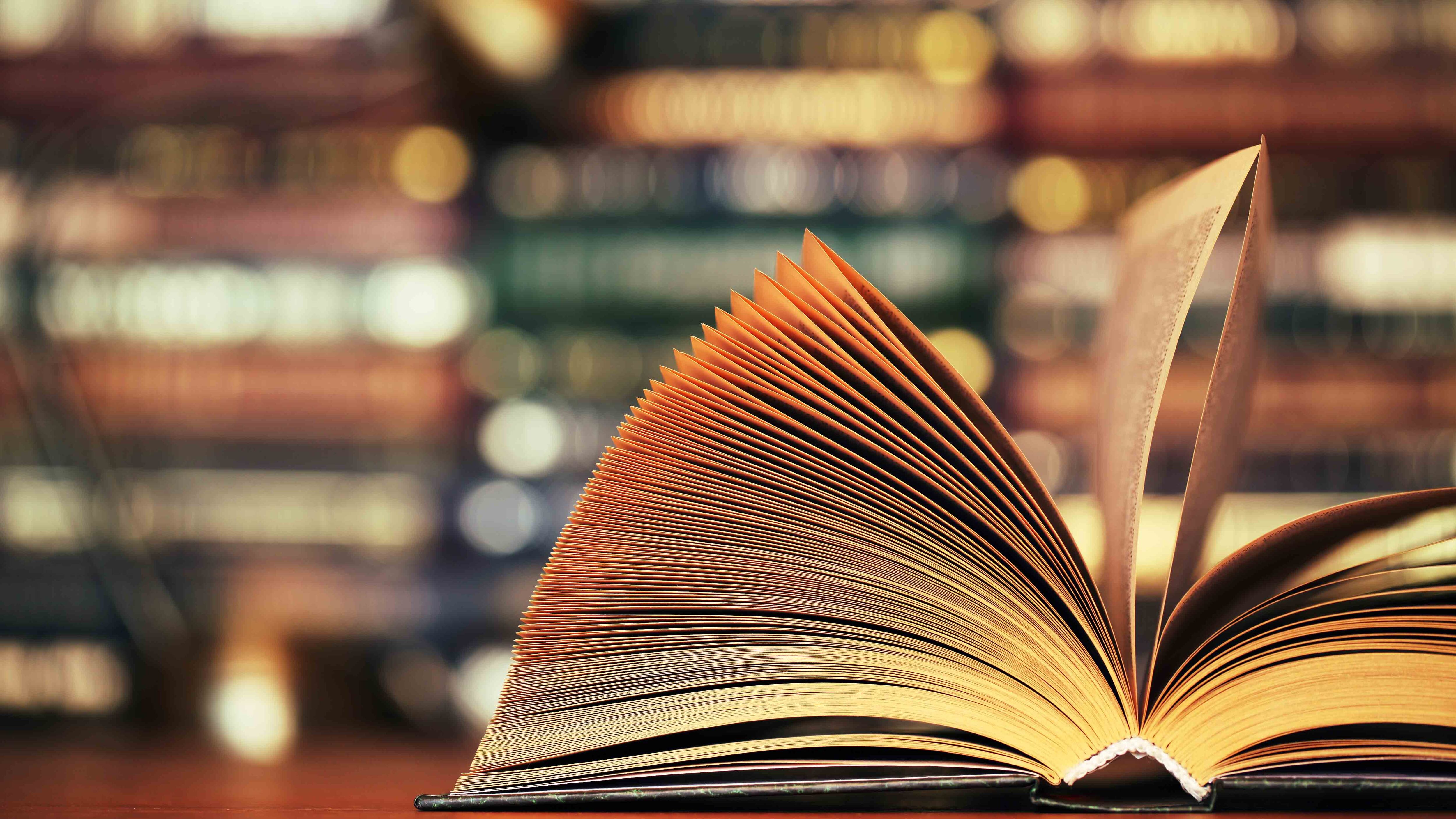 We read it for you: six books you need on your shelves