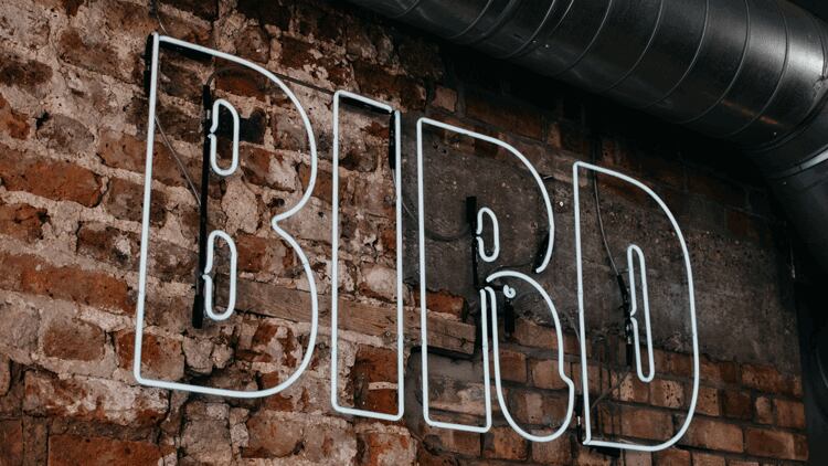 Fried chicken brand Bird to open first restaurant outside of London