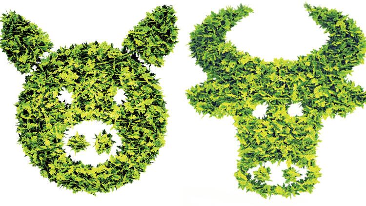 Six areas to make your restaurant more sustainable