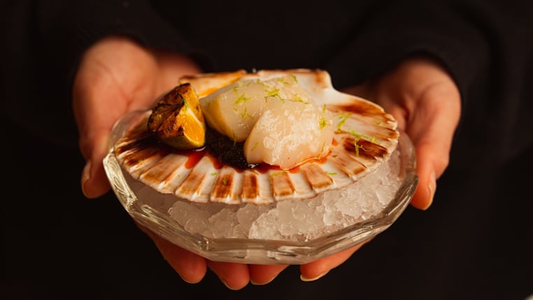 Scallop and aguacahile tiradito