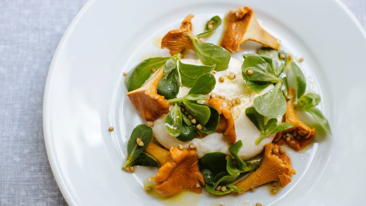 Burrata-with-chanterelles.png