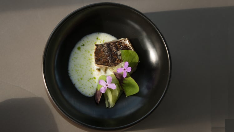 Worthing restaurant Tern smashes crowdfund target within 36 hours