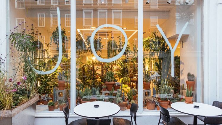 Stevie Parle brings JOY to Marylebone