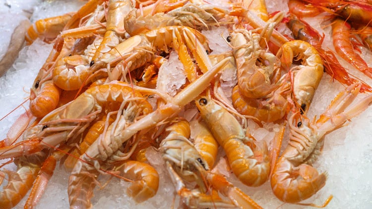 Future-of-UK-shellfish-industry-in-doubt-as-EU-confirms-live-import-ban.png