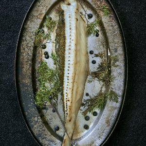 aster-food-300-2fish.jpg