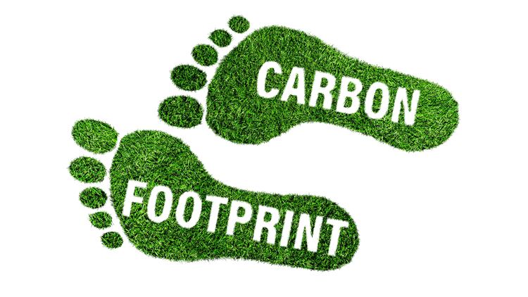 Steps to sustainability: how to calculate and offset your carbon footprint 