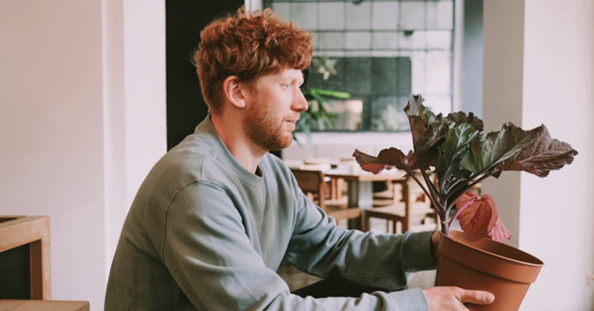 Vegan and vegetarian restaurant Hendersons to open in Glasgow