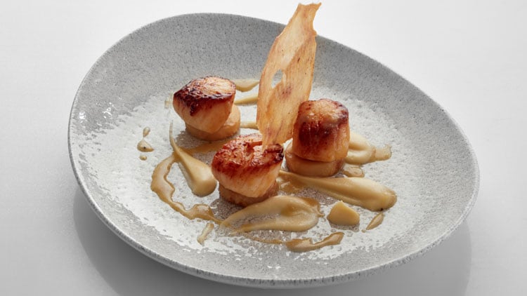 white-horse-food.jpg