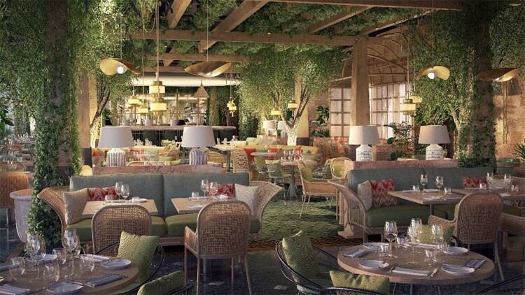 D&D launches app to help ease booking process at its restaurants
