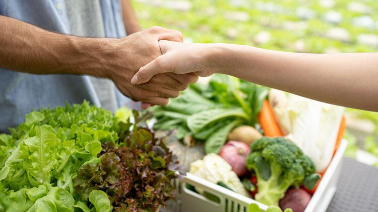 Food and drink wholesalers ask for payment to 'keep wheels of industry turning' 