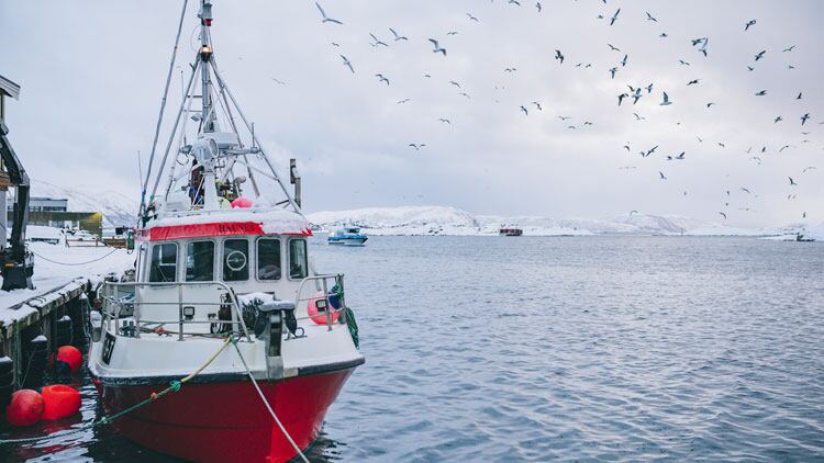 skrei-boat.jpg