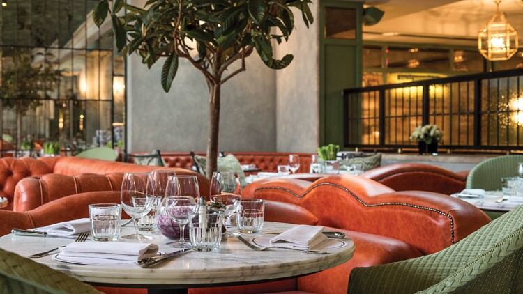 Branded-restaurants-MCA-Insight.jpg