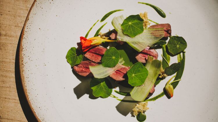 Alchemilla-food-3.jpg