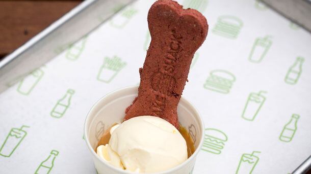shakeshack-610.jpg