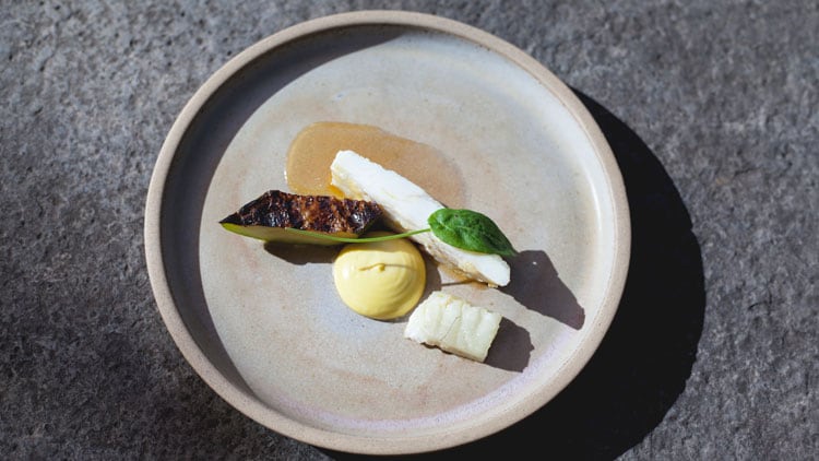 turbot-9.jpg