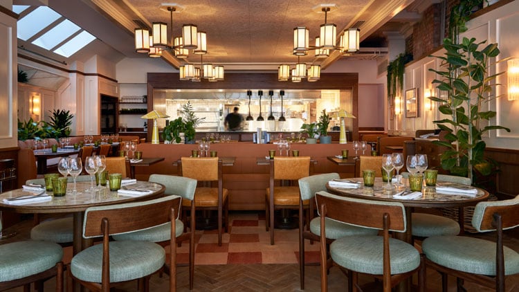 Latest opening: Nessa