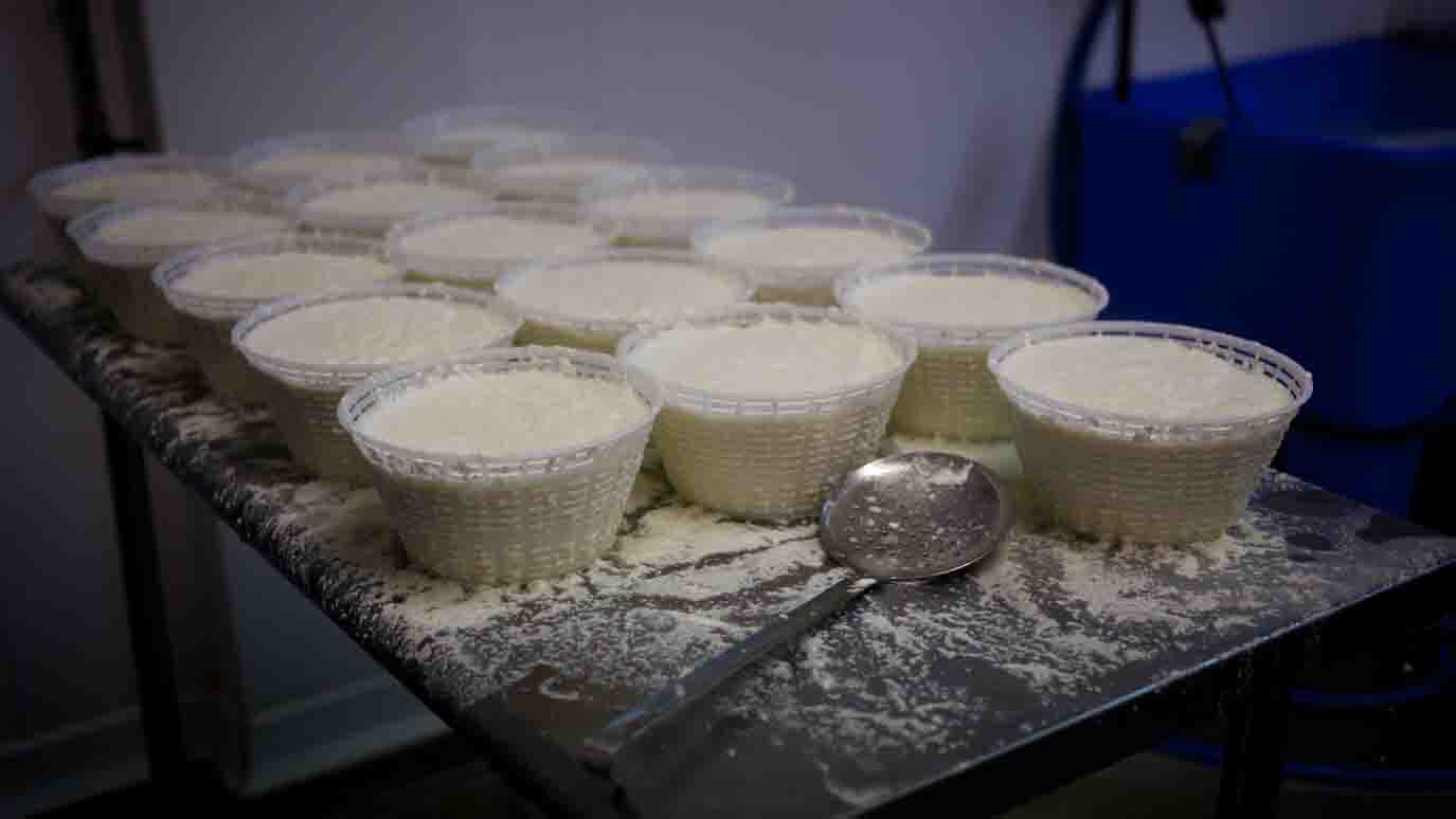 cheese1.jpg