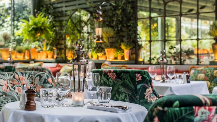 Ivy Collection to introduce thermal temperature checks as it plans for reopening