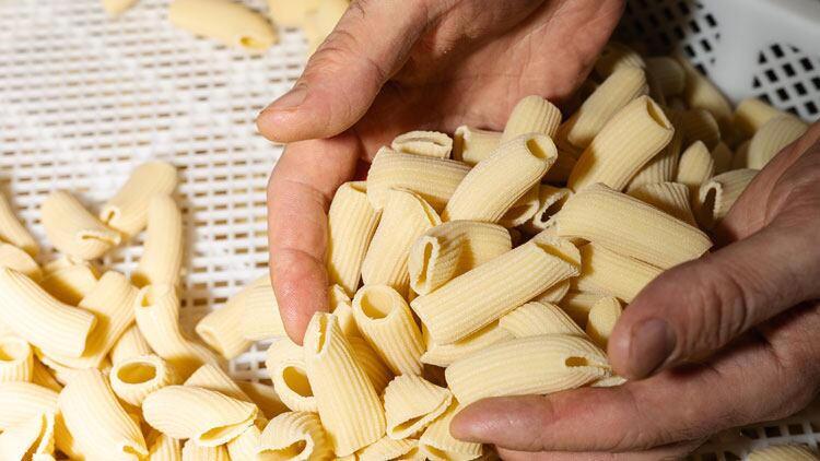 Sud-Pasta-team-unveils-new-concept-called-Rigatoni-s.jpg
