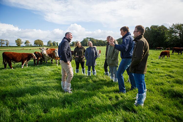Anna-Simon-on-an-Aubrey-Allen-educational-beef-chef-trip-to-Ireland-2016-1.jpg