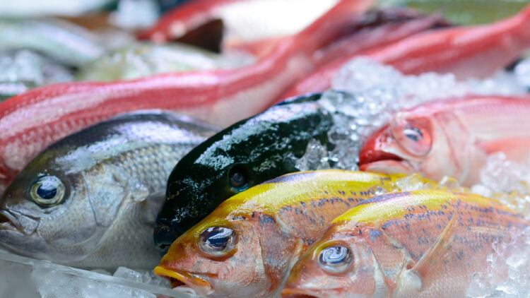 Chefs-choice-awards_Fish.jpg
