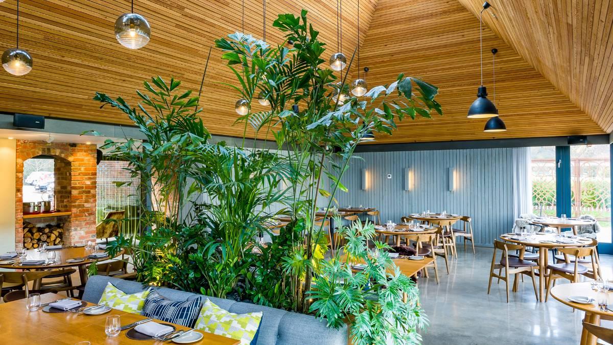 Michelin Guide 2023 deletions: The Woodspeen and Seven Park Place lose stars