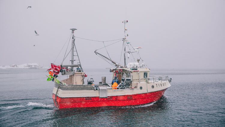 seafood-from-norway-trawler.jpg