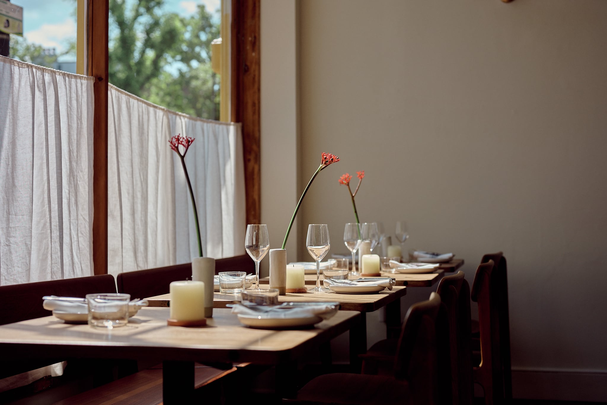 Latest opening: Lupa