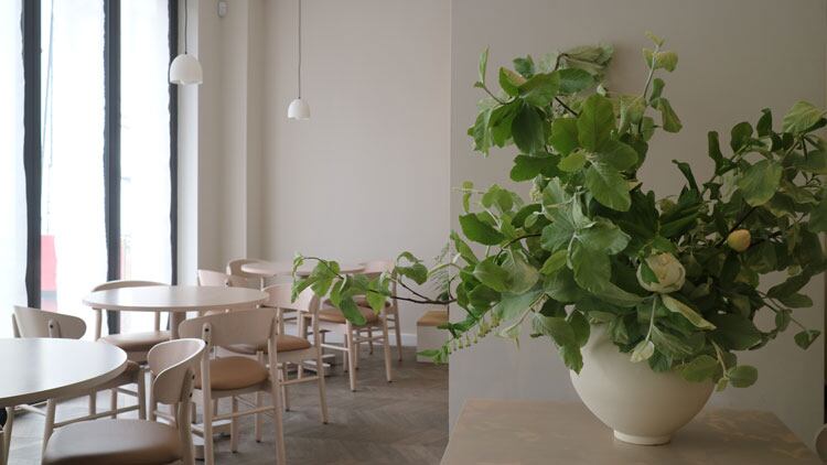 Sollip-Dining-Room.jpg